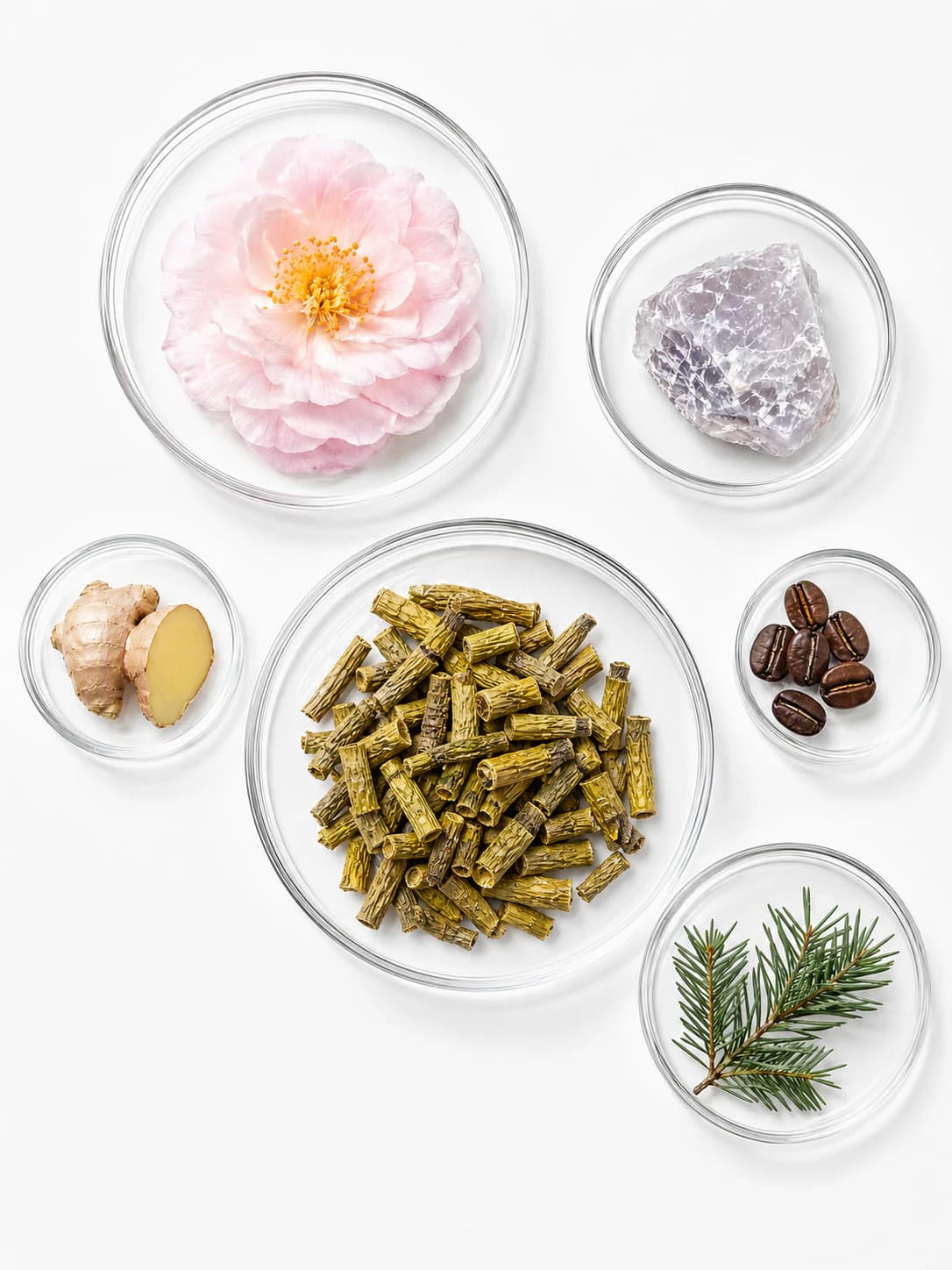 Plant, mineral, and natural ingredients in laboratory dishes for bio-based material development